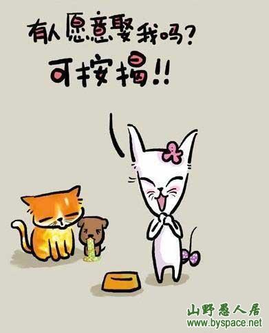 你愿意娶我吗?可以按揭
