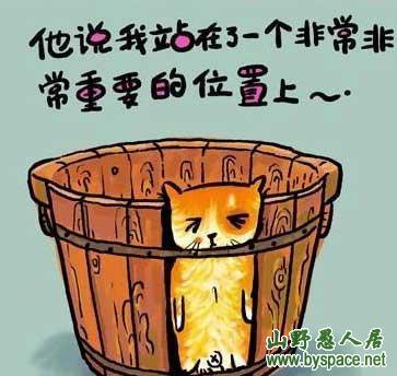 你愿意娶我吗?可以按揭
