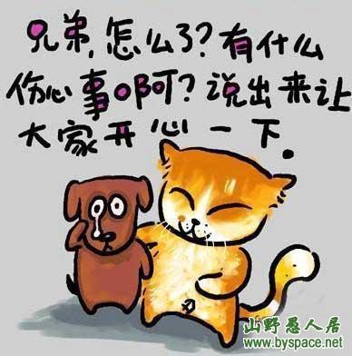 你愿意娶我吗?可以按揭