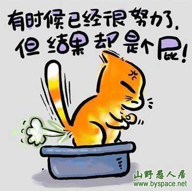 你愿意娶我吗?可以按揭