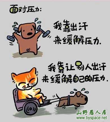 你愿意娶我吗?可以按揭