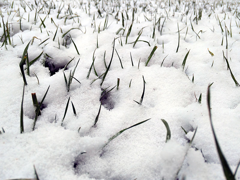 2016年塔吉克斯坦的第一场雪