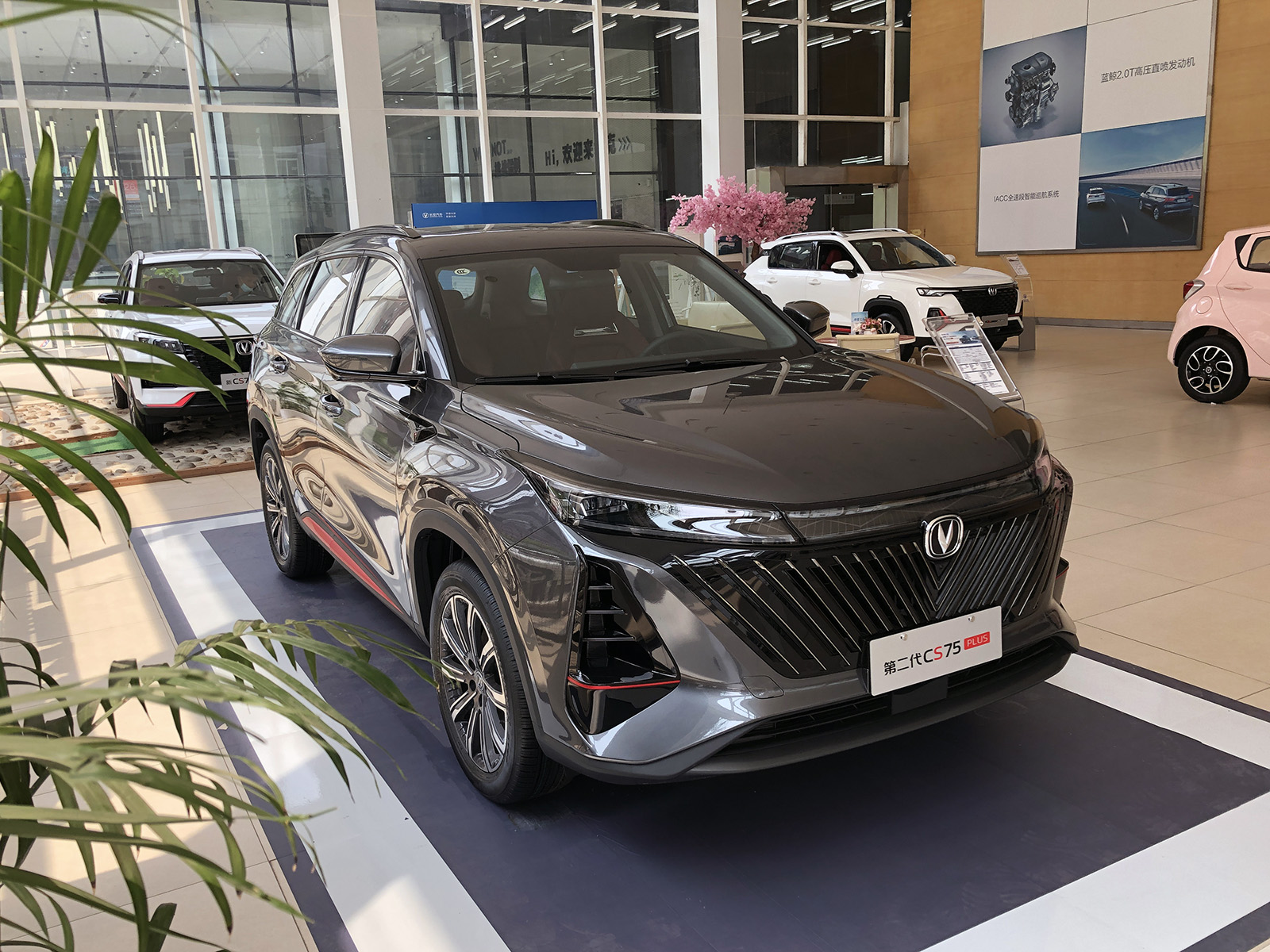 买了辆国产车 买了辆国产车